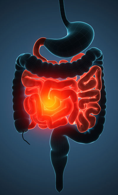 Best doctor for colonoscopy in Hyderabads