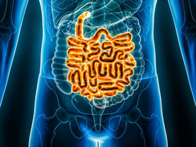 Why Isn’t My IBD Treatment Working?